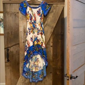 Tropical Hi/Lo Dress